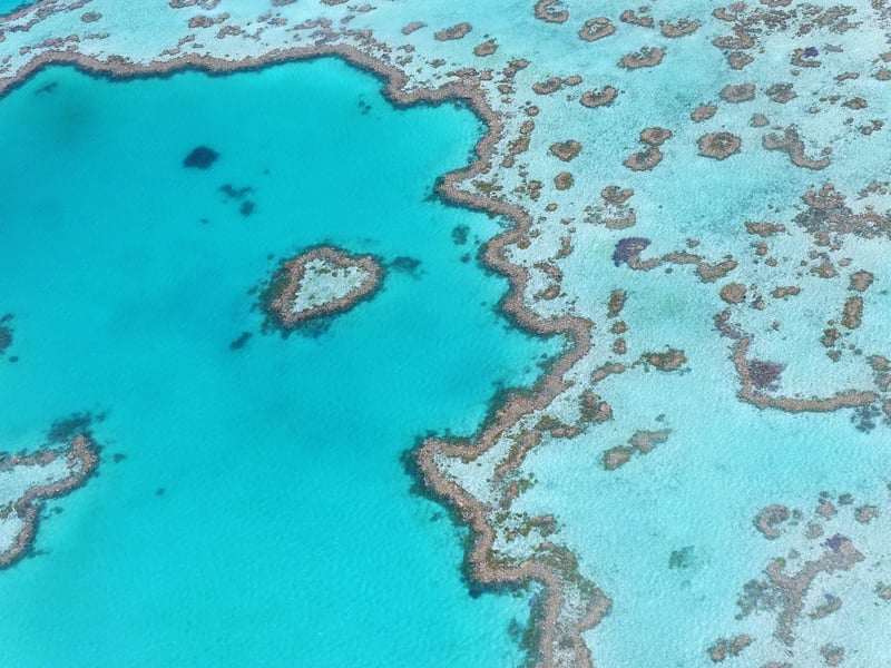 Scuba Diving in the Great Barrier Reef